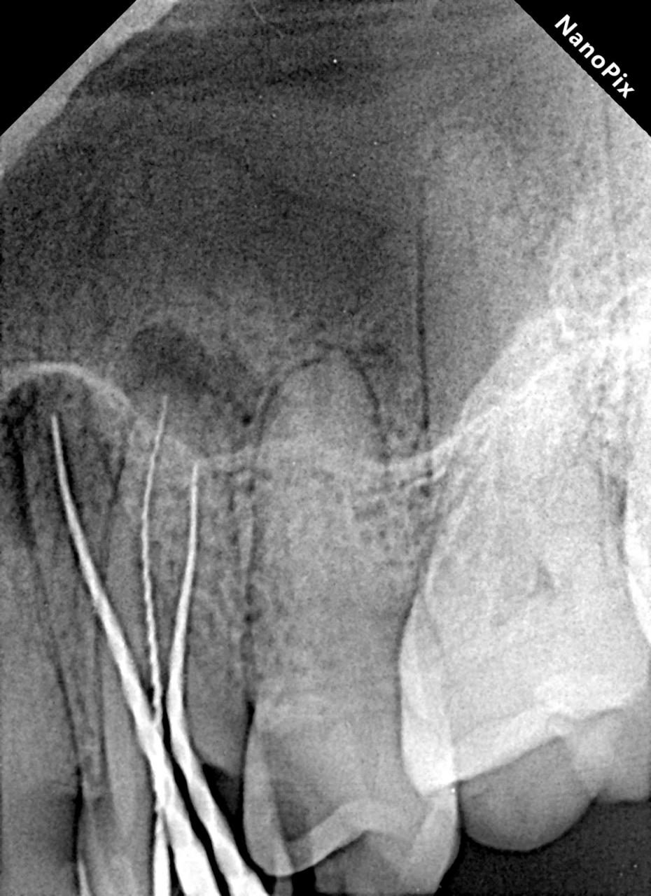 WhatsApp Image 2026-03-31 at 8.34.59 PM (1)