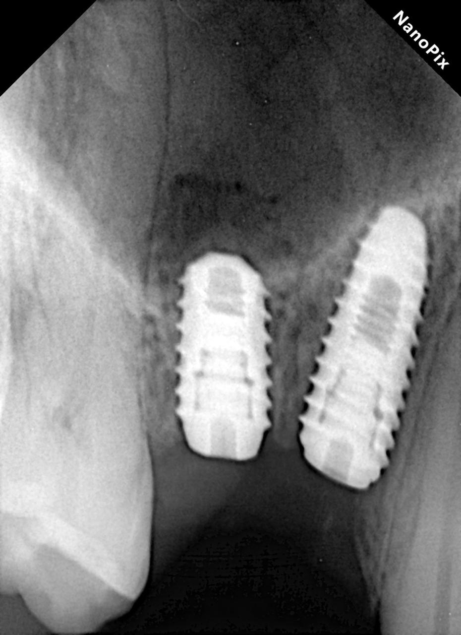 WhatsApp Image 2026-03-31 at 8.34.59 PM