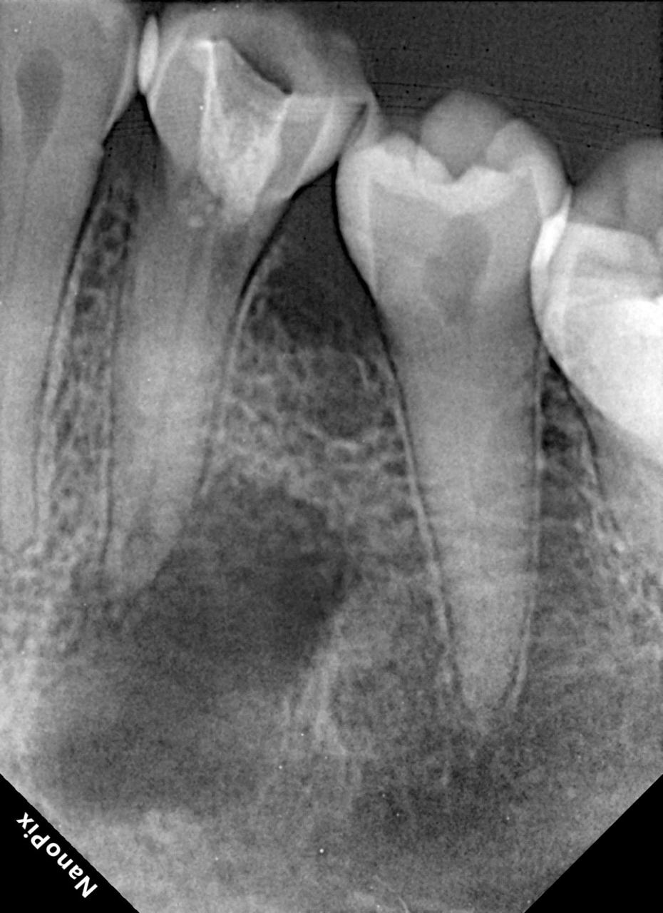 WhatsApp Image 2026-03-31 at 8.36.31 PM