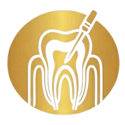 Root_Canal-removebg-preview