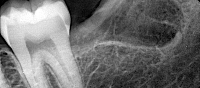 WhatsApp Image 2026-03-31 at 8.41.28 PM (3)