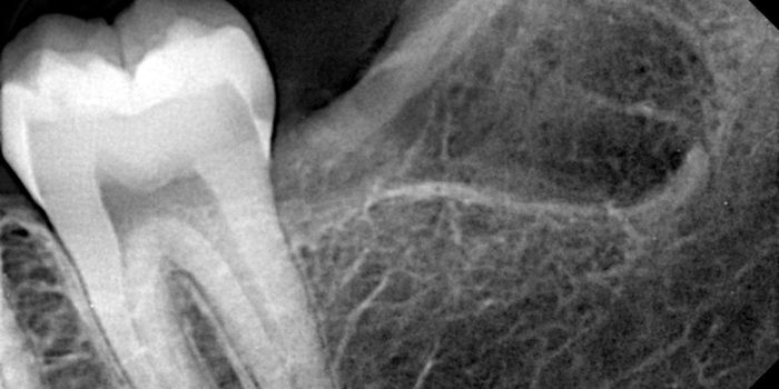 WhatsApp Image 2026-03-31 at 8.41.28 PM (3)