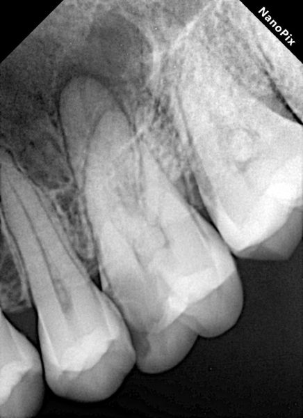 WhatsApp Image 2026-03-31 at 8.41.28 PM